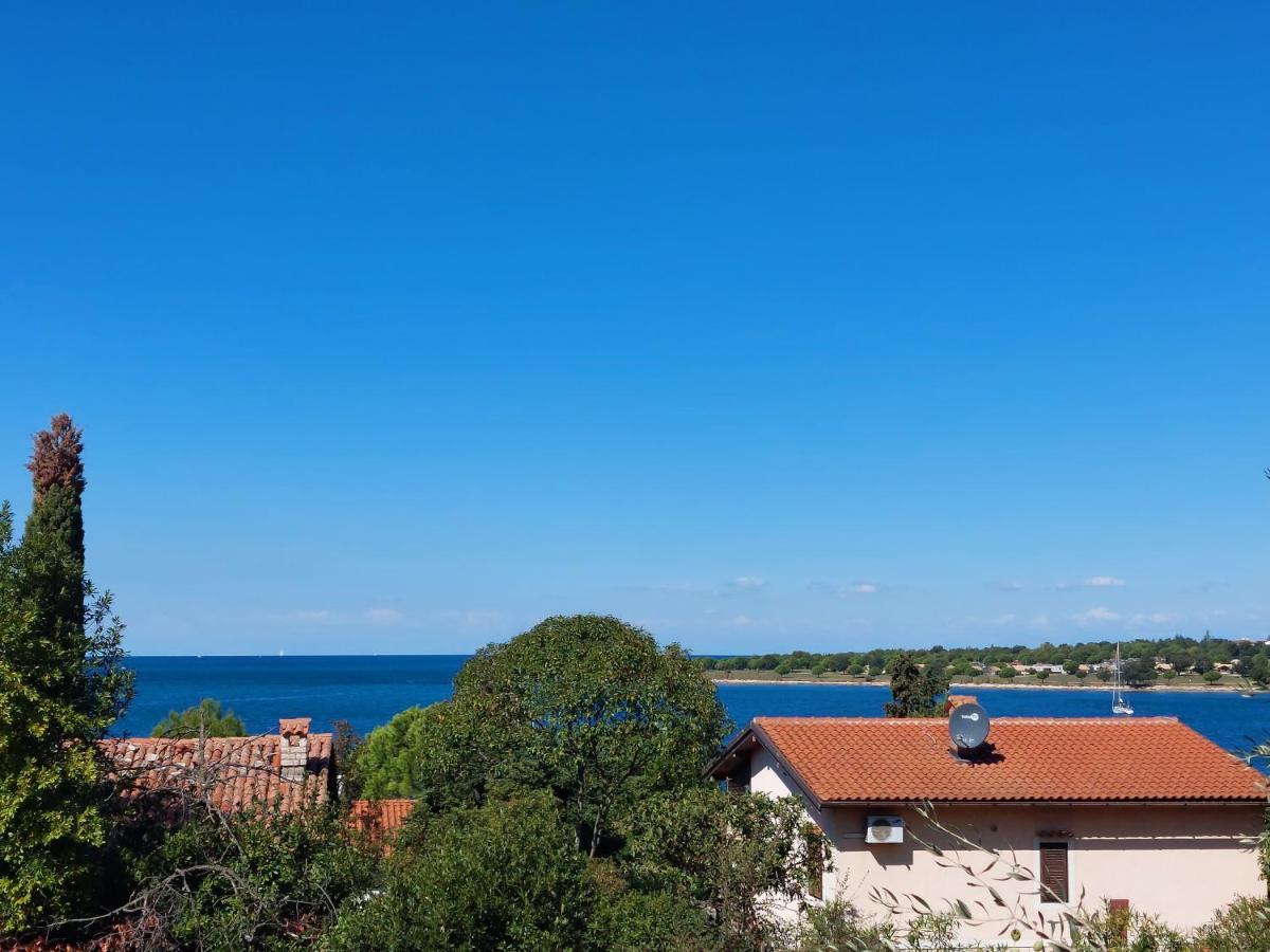 Apartments Henc Novigrad  Ngoại thất bức ảnh