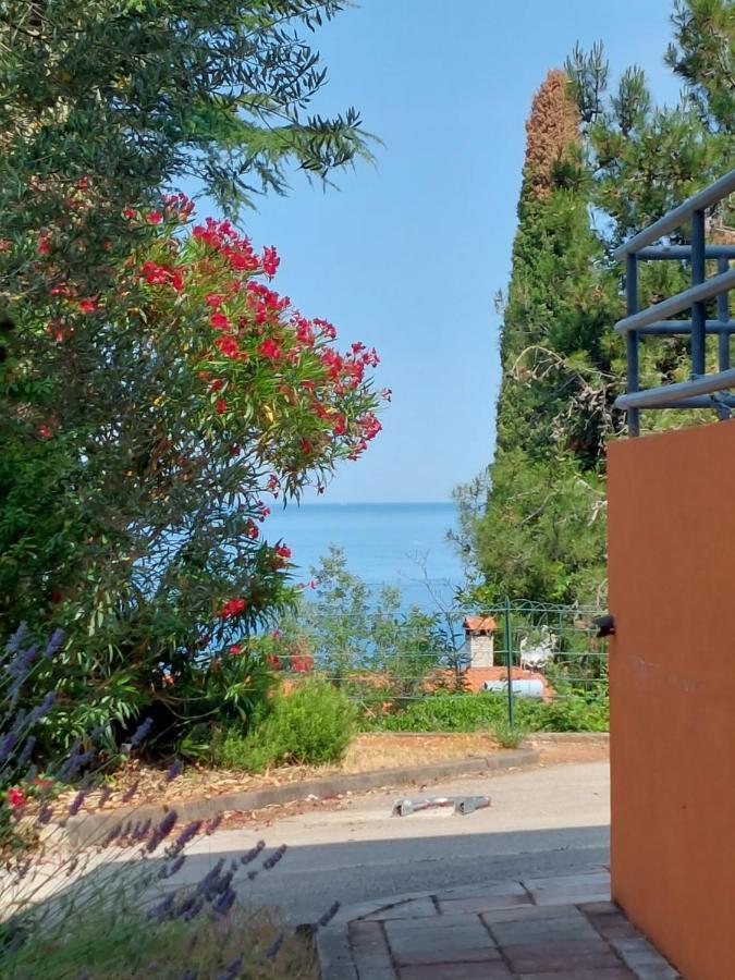 Apartments Henc Novigrad  Ngoại thất bức ảnh