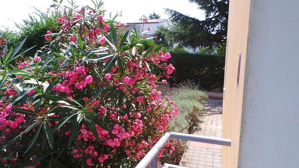 Apartments Henc Novigrad  Ngoại thất bức ảnh